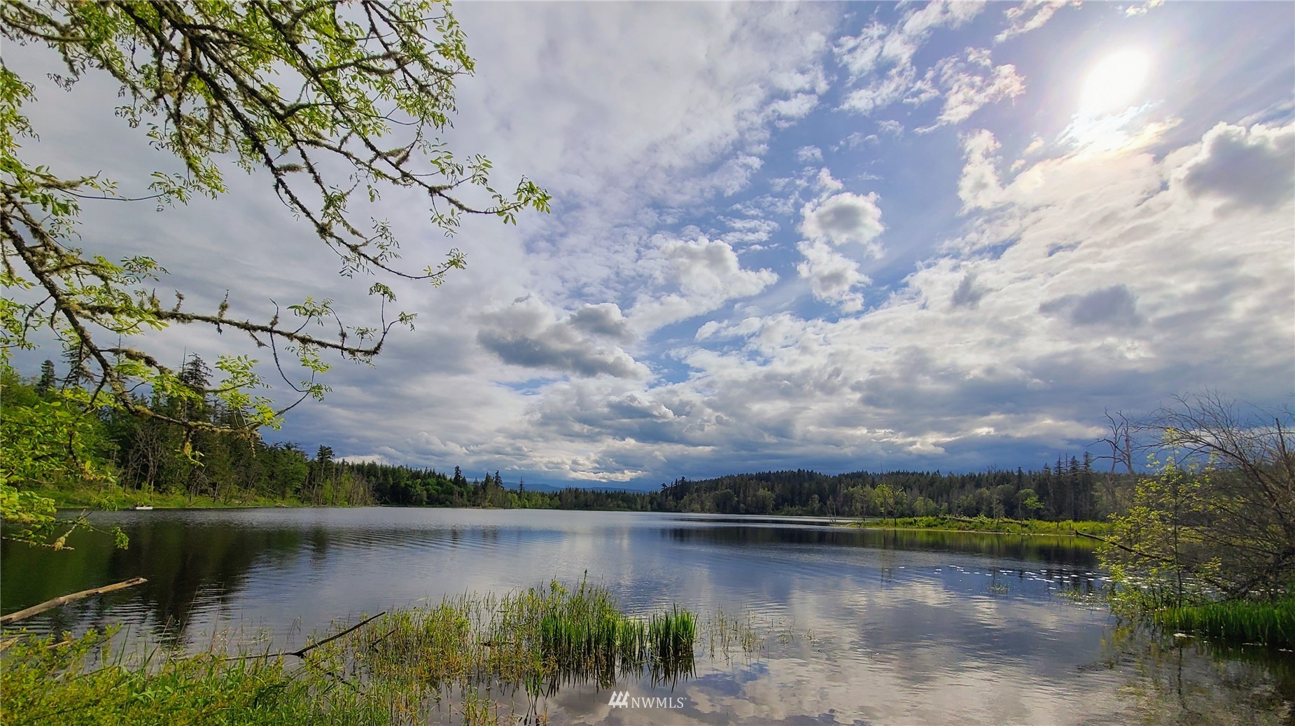 -xxx Tanwax Road South Roy, WA 98580 - Photo 32 of 33 Gallery Image 32