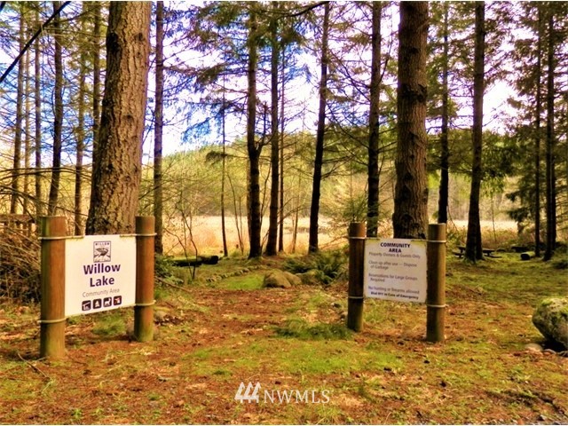 -xxx Tanwax Road South Roy, WA 98580 - Photo 33 of 33 Gallery Image 33