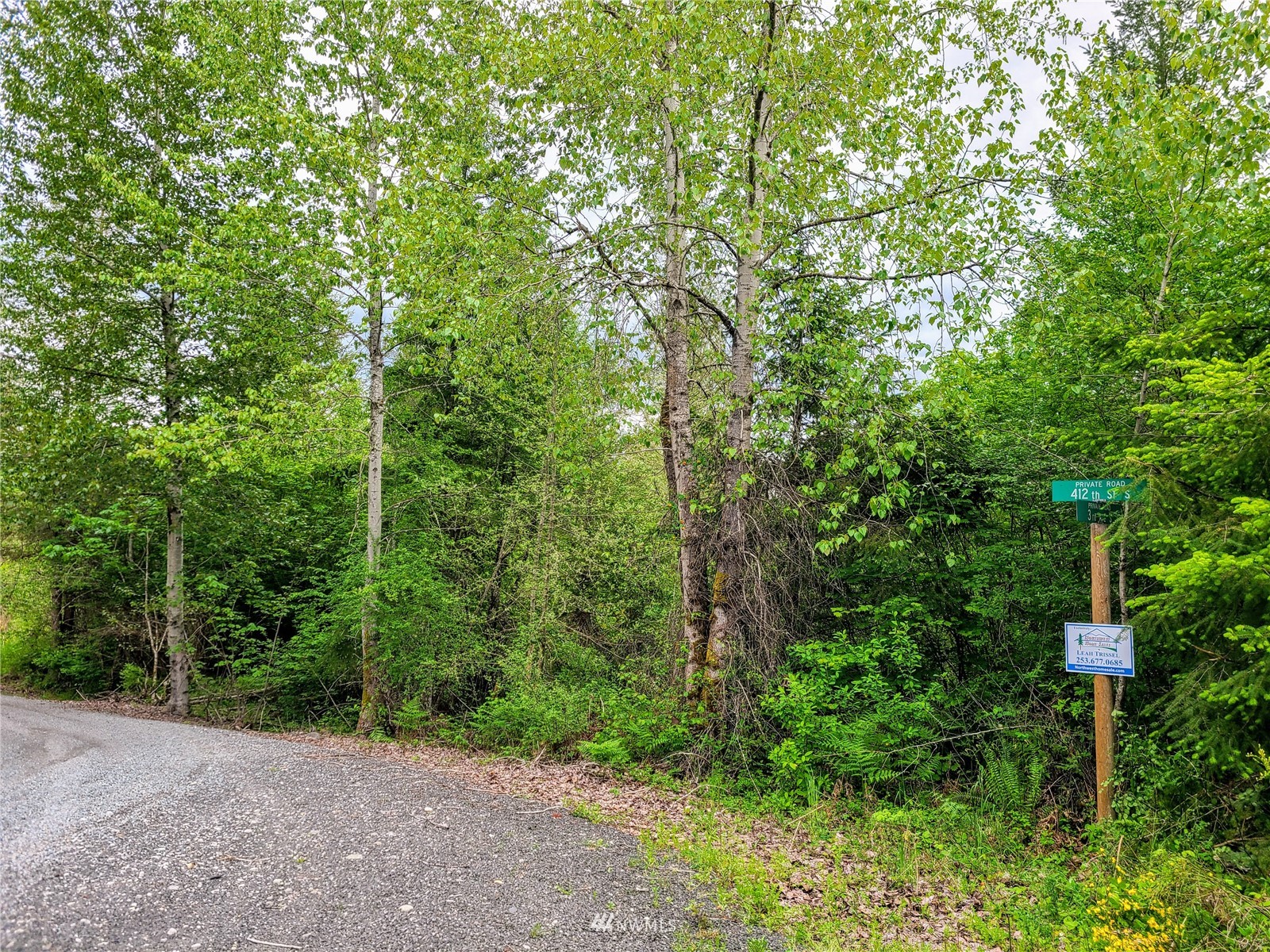 -xxx Tanwax Road South Roy, WA 98580 - Photo 4 of 33 Gallery Image 4