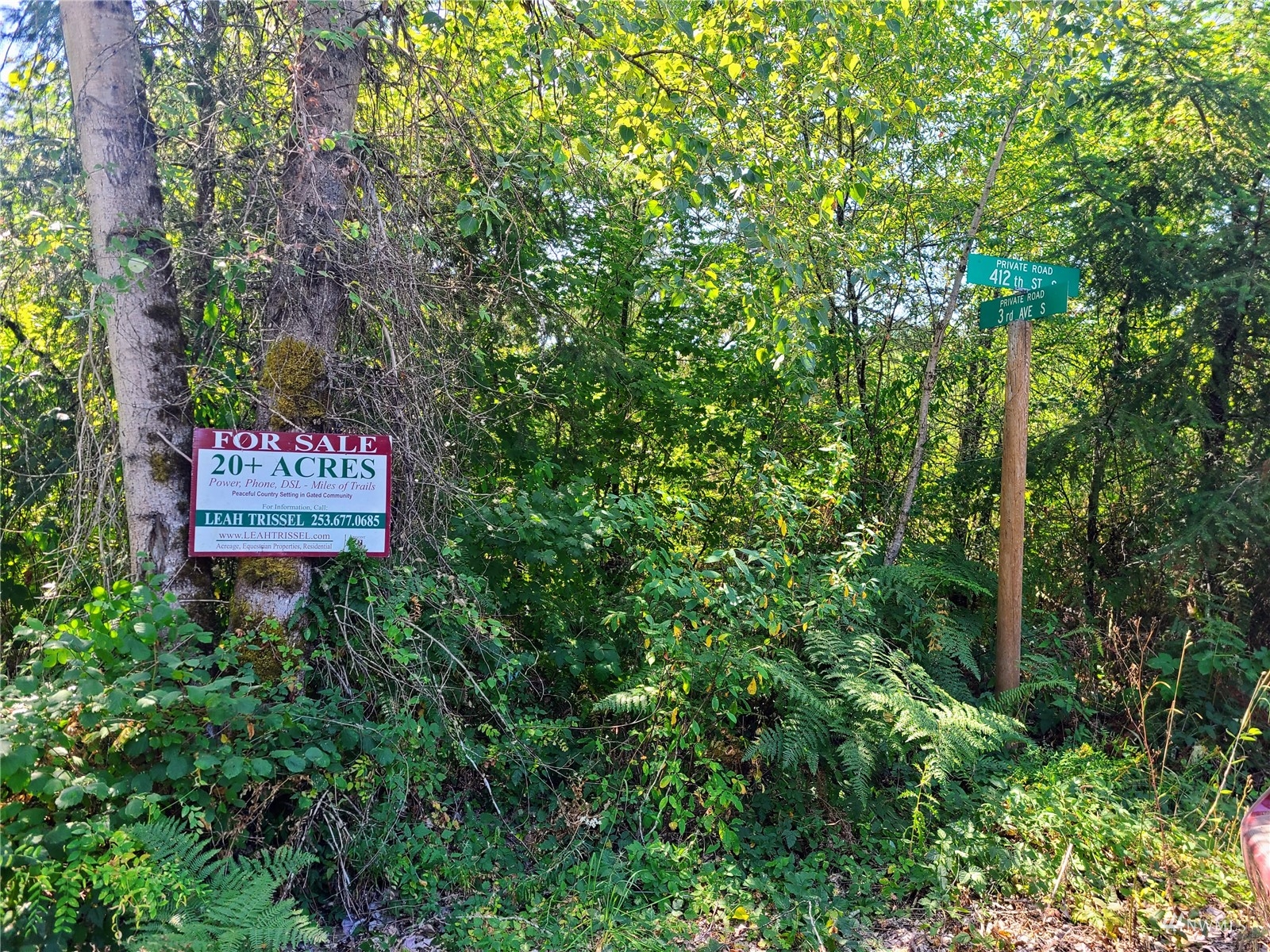 -xxx Tanwax Road South Roy, WA 98580 - Photo 8 of 33 Gallery Image 8
