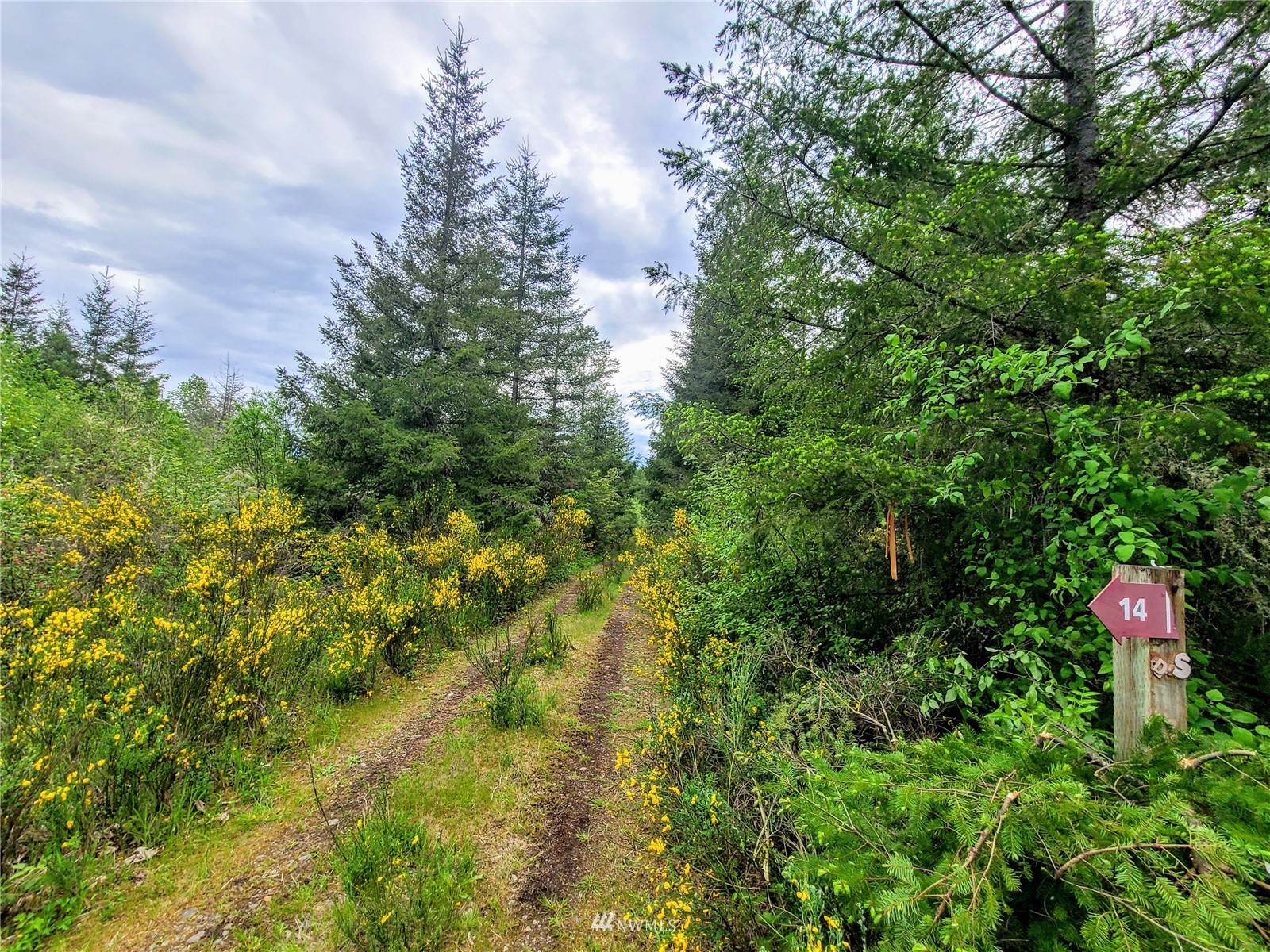 -xxx Tanwax Road South Roy, WA 98580 - Photo 10 of 33 Gallery Image 10