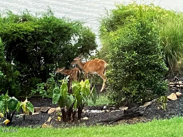 $1,325,000 | 471 Chelaque Way, Mooresburg, TN 37811