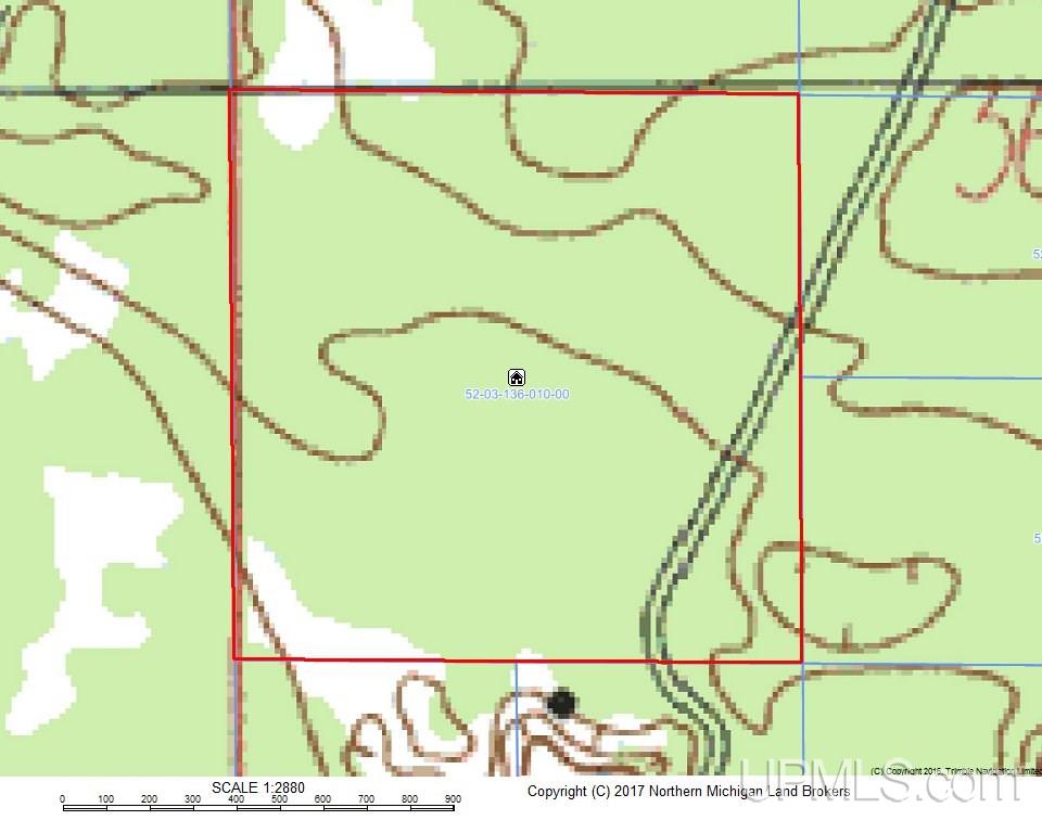 40-acres 40-acres Co Road Ishpeming, MI 49849 - Photo 3 of 3