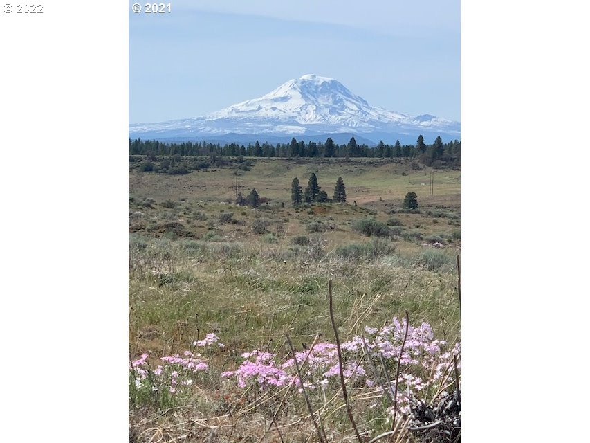 Lipo (and Esteb) Road, Unit 4 Centerville, WA 98613 - Photo 1 of 5 Gallery Image 1
