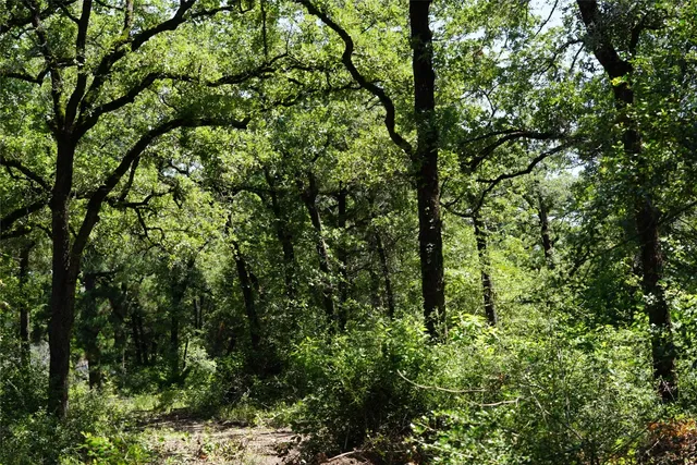 $290,000 | 5548 County Road 322, Rockdale, TX 76567