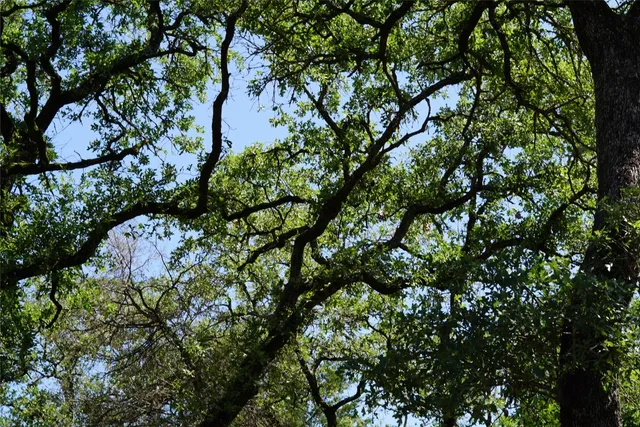 $290,000 | 5548 County Road 322, Rockdale, TX 76567