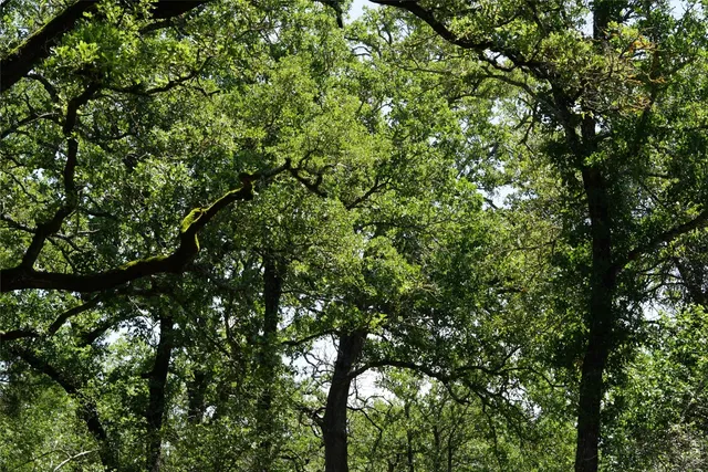 $290,000 | 5548 County Road 322, Rockdale, TX 76567