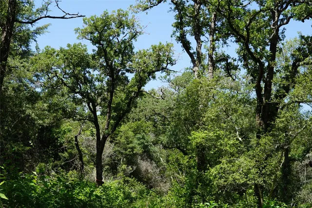 $290,000 | 5548 County Road 322, Rockdale, TX 76567