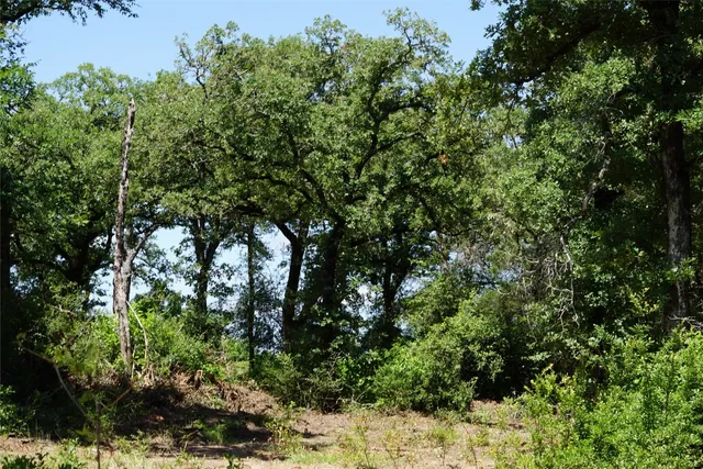 $290,000 | 5548 County Road 322, Rockdale, TX 76567