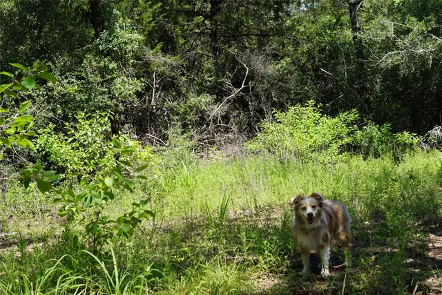 $290,000 | 5548 County Road 322, Rockdale, TX 76567