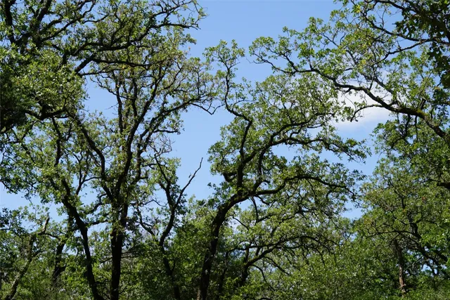 $290,000 | 5548 County Road 322, Rockdale, TX 76567