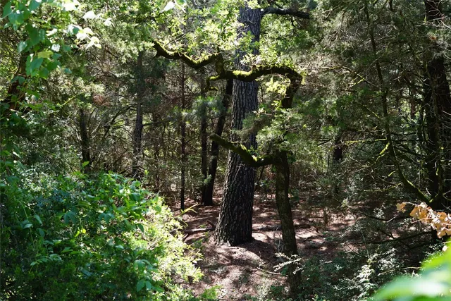 $290,000 | 5548 County Road 322, Rockdale, TX 76567