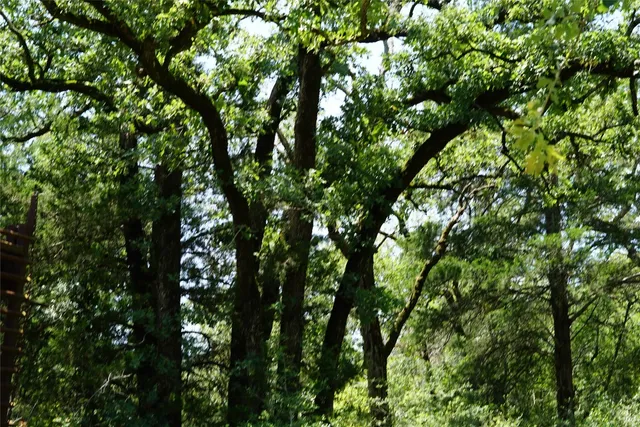 $290,000 | 5548 County Road 322, Rockdale, TX 76567