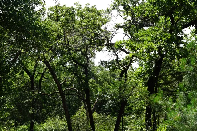 $290,000 | 5548 County Road 322, Rockdale, TX 76567