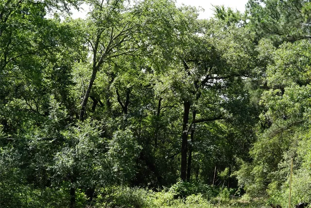 $290,000 | 5548 County Road 322, Rockdale, TX 76567