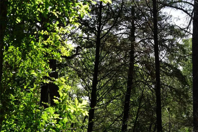 $290,000 | 5548 County Road 322, Rockdale, TX 76567