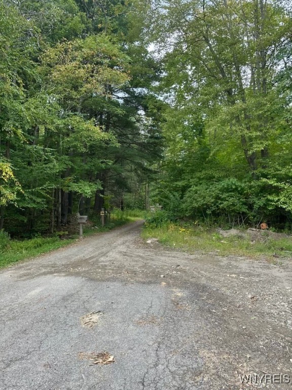 Sullivan Hollow Extension Kill Buck, NY 14748 - Photo 2 of 3