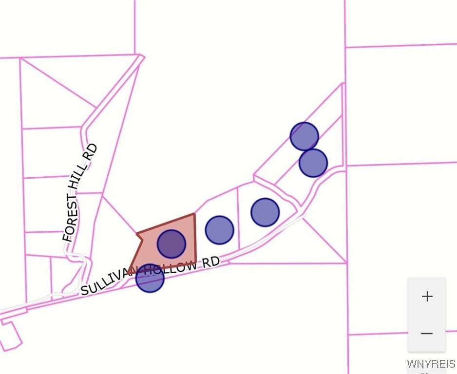 Sullivan Hollow Extension Kill Buck, NY 14748 - Photo 3 of 3
