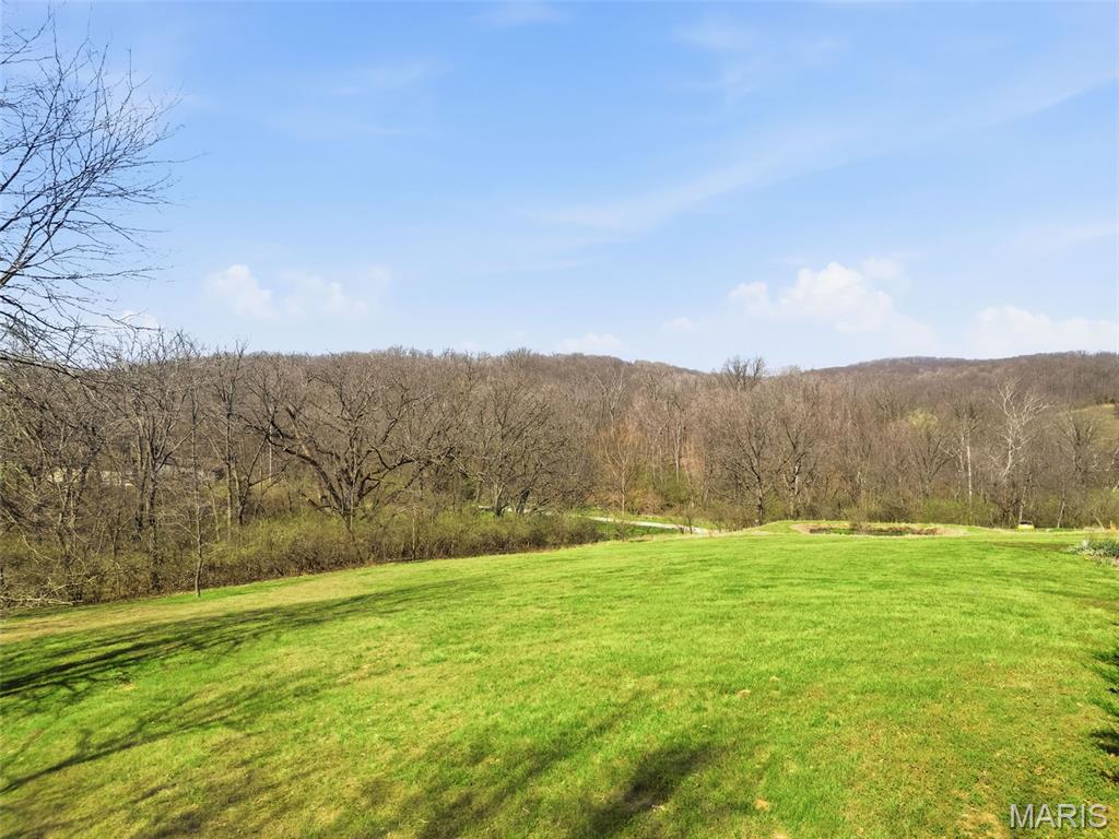 75 Morgans Way Elsberry, MO 63343 - Photo 61 of 61