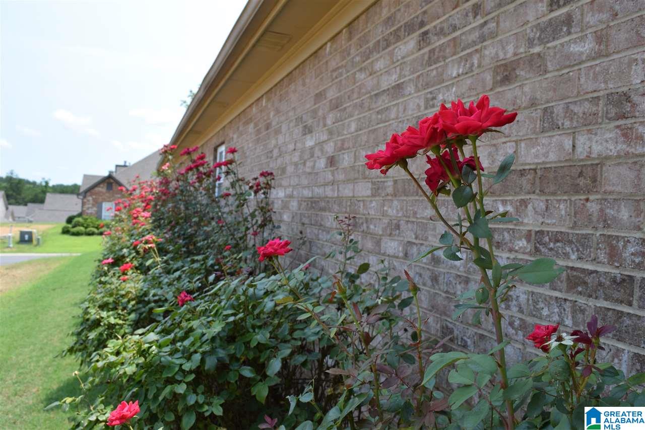 2144 Chelsea Park Bend Chelsea, AL 35043 - Photo 22 of 22