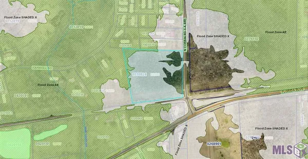 $495,000 | 449 Walker La, Walker, LA 70785