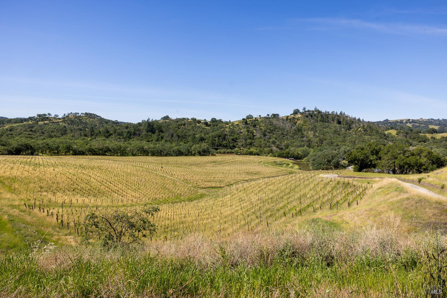 13414 Chalk Hill Road Healdsburg, CA 95448 - Photo 73 of 99