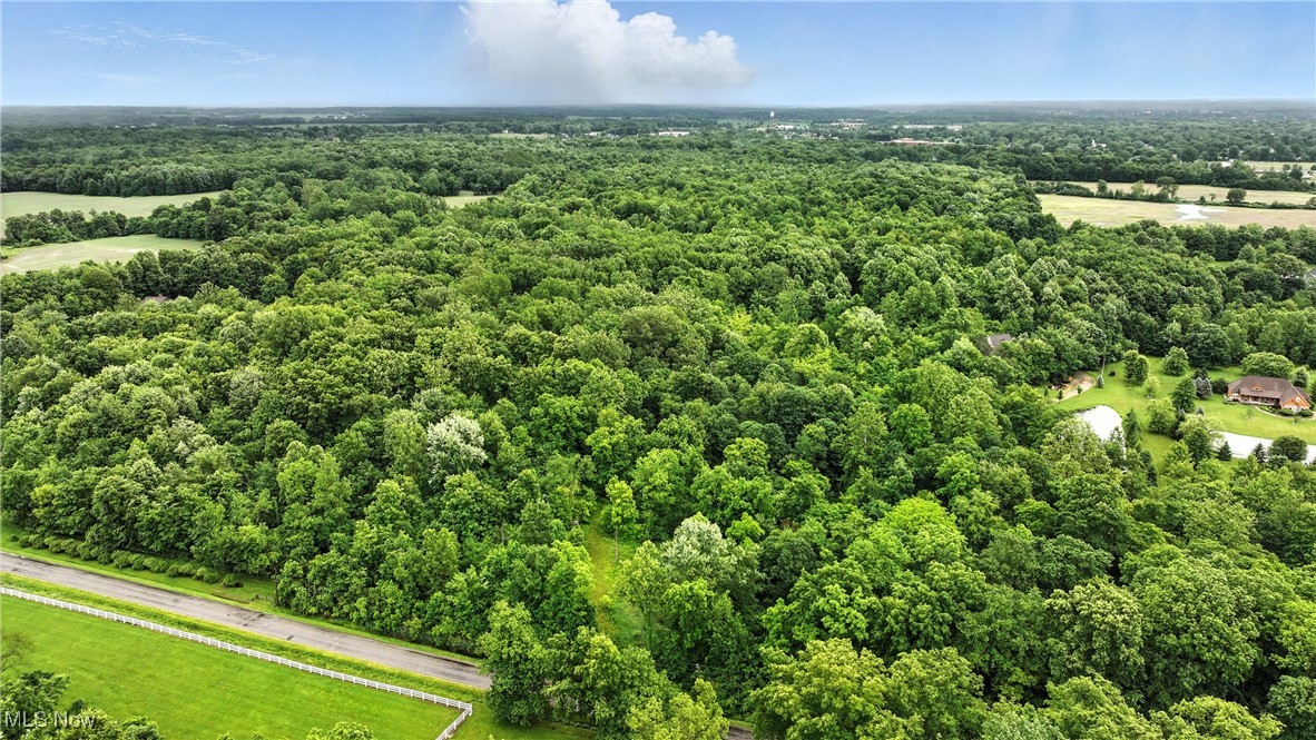 21251 Pitts Road Wellington, OH 44090 - Photo 1 of 14 Aerial view of a forest