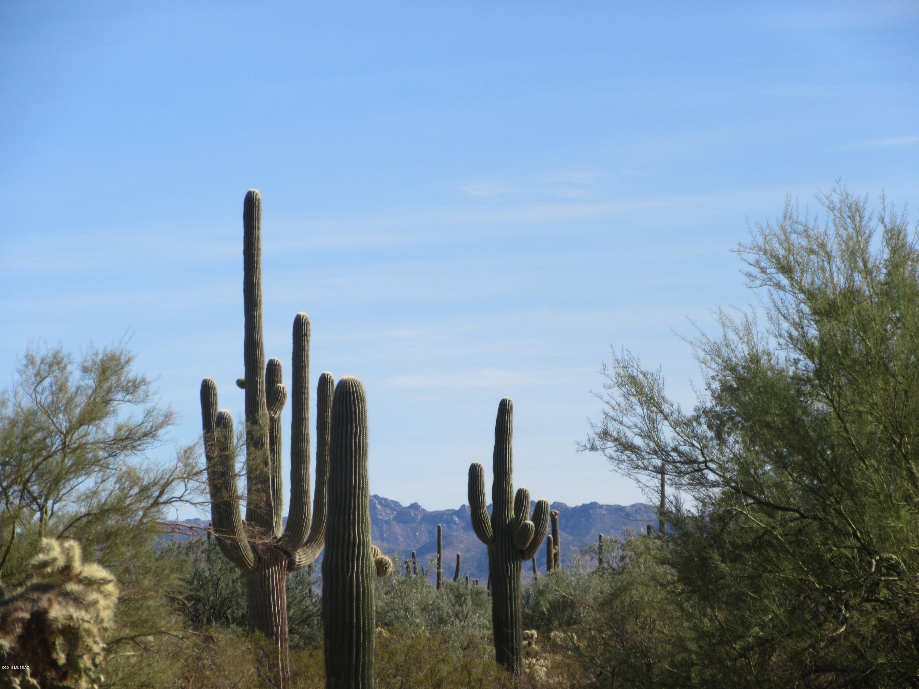 South Cattle Tank Road, Unit 20 Marana, AZ 85658 - Photo 7 of 20