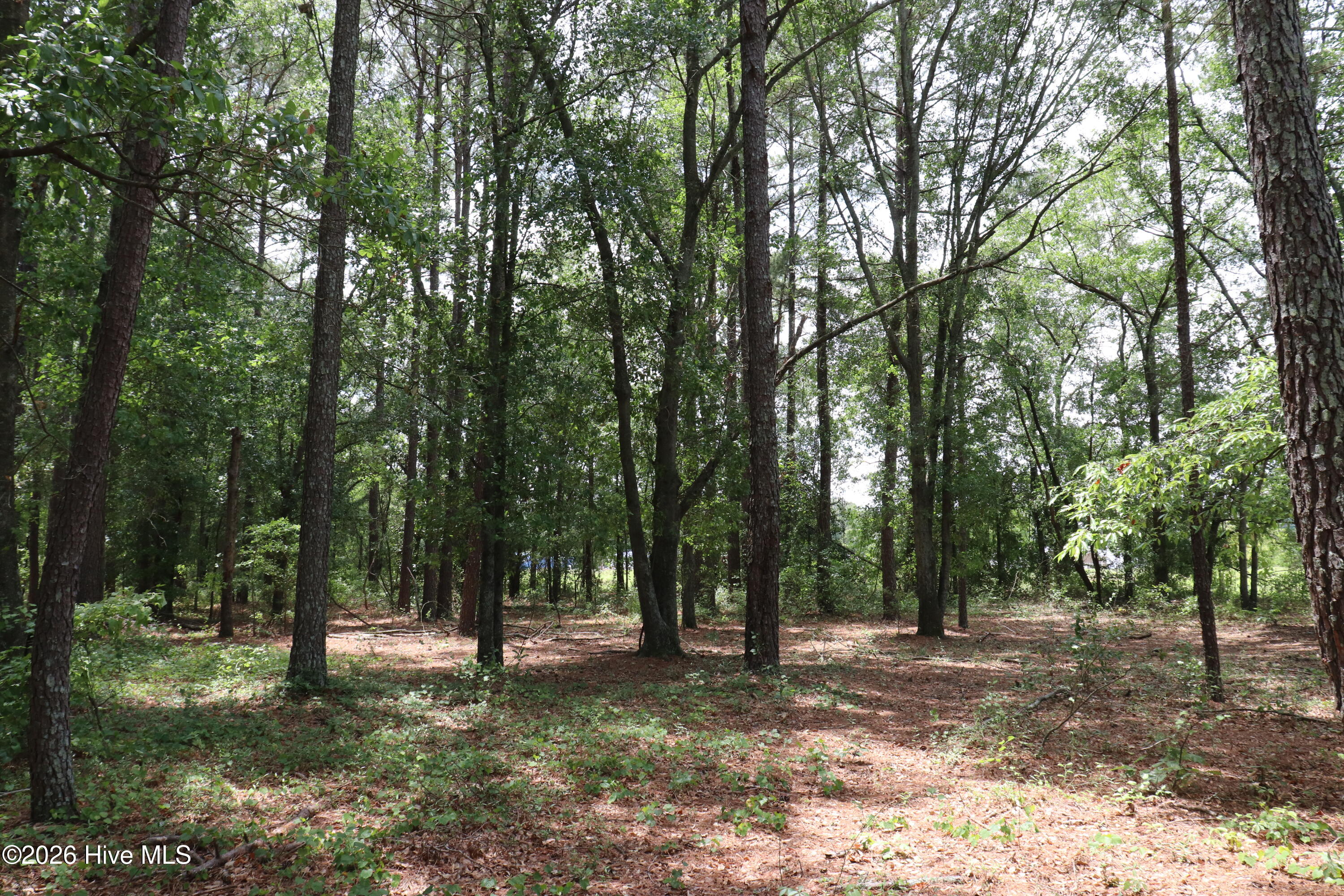 Tbd Hayne Stretch Road Roseboro, NC 28382 - Photo 12 of 31