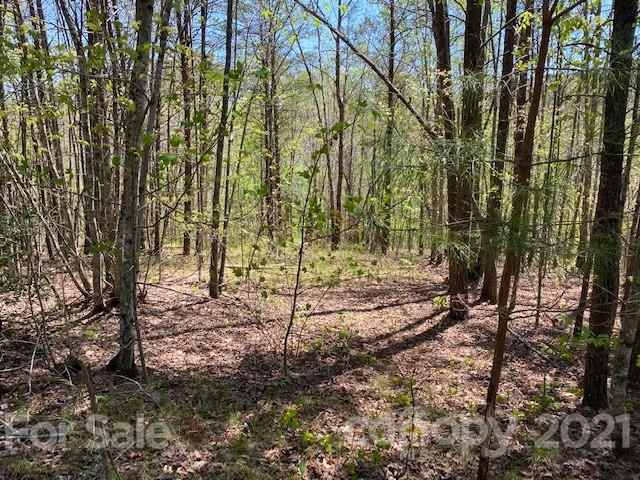 0 South Cross Creek Trail Mill Spring, Unit 31 Mill Spring, NC 28756 - Photo 1 of 11 a view of a forest with trees