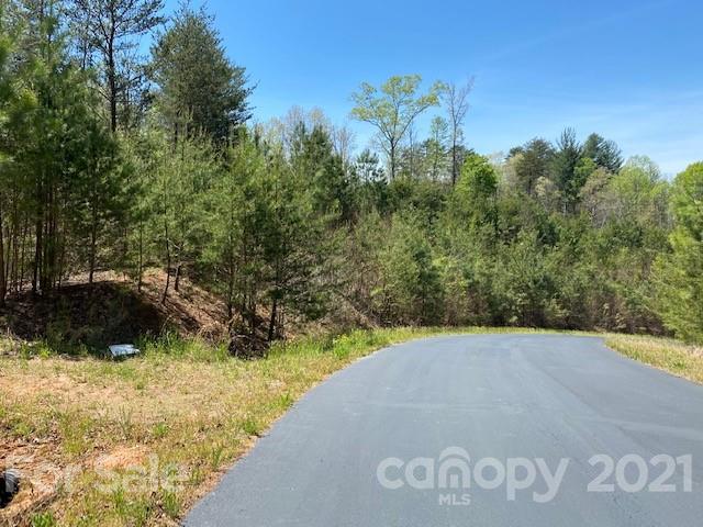 0 South Cross Creek Trail Mill Spring, Unit 31 Mill Spring, NC 28756 - Photo 2 of 11 a view of a back yard