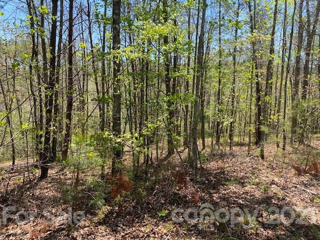0 South Cross Creek Trail Mill Spring, Unit 31 Mill Spring, NC 28756 - Photo 3 of 11 a view of hardwood area