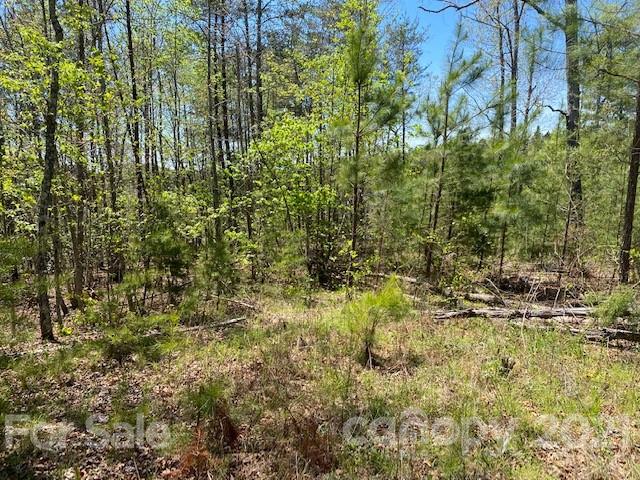 0 South Cross Creek Trail Mill Spring, Unit 31 Mill Spring, NC 28756 - Photo 5 of 11 a view of a yard with plants and trees