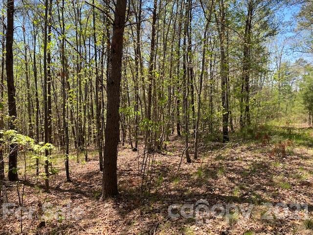 0 South Cross Creek Trail Mill Spring, Unit 31 Mill Spring, NC 28756 - Photo 6 of 11 a view of outdoor space with lots of trees