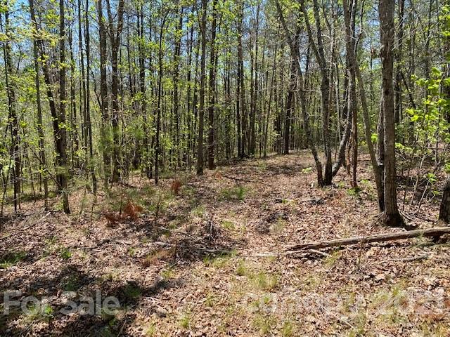 0 South Cross Creek Trail Mill Spring, Unit 31 Mill Spring, NC 28756 - Photo 10 of 11 a view of a backyard of a house