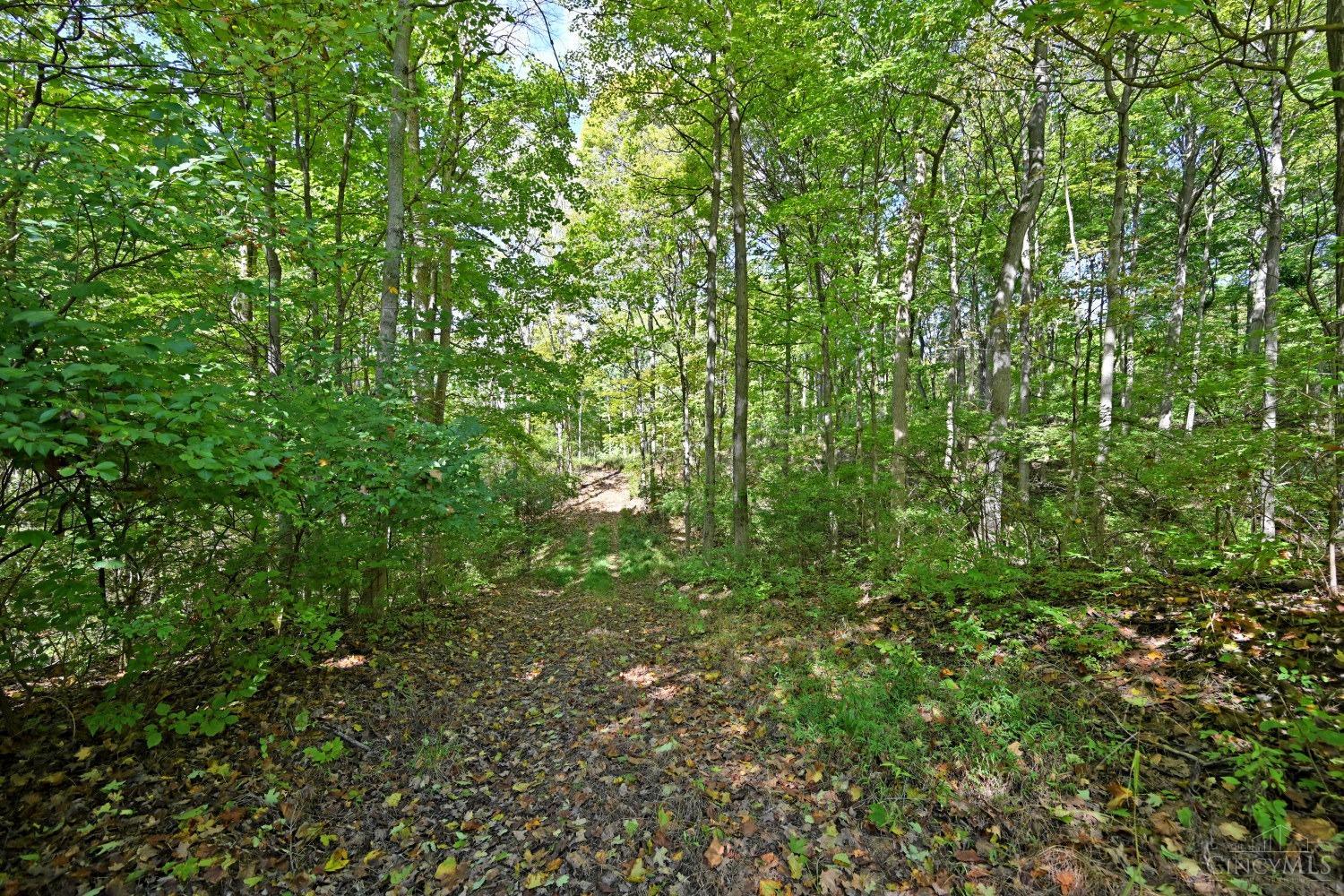 3301 Mt Carmel Road Cincinnati, OH 45244 - Photo 10 of 30