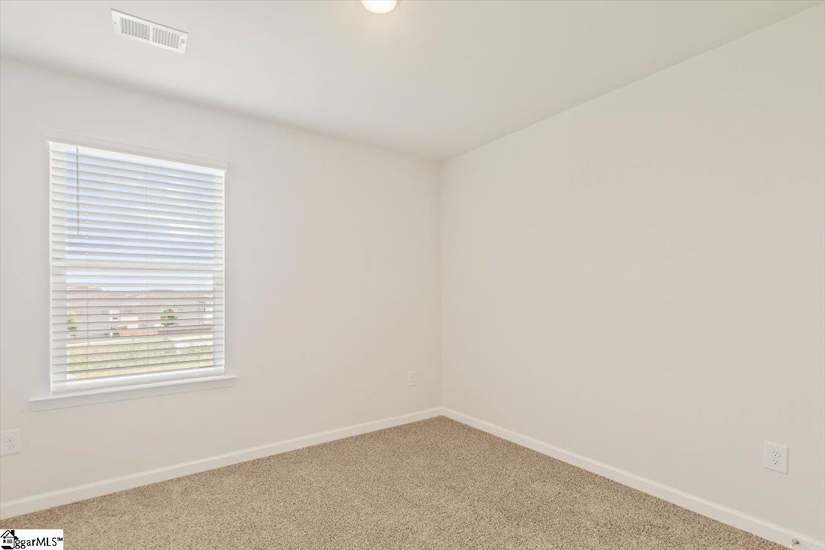 127 Cillian Street Fountain Inn, SC 29644 - Photo 27 of 28