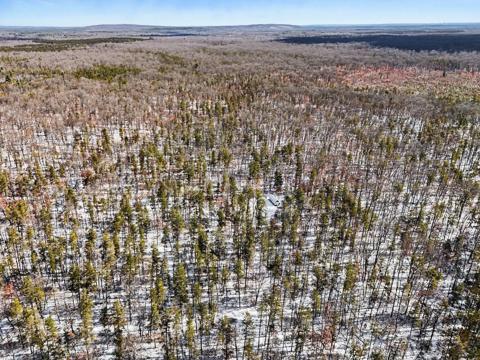0 East Stark Road Manistee, MI 49660 - Photo 11 of 18 010_09_dji_20260312110721_0730_d_170