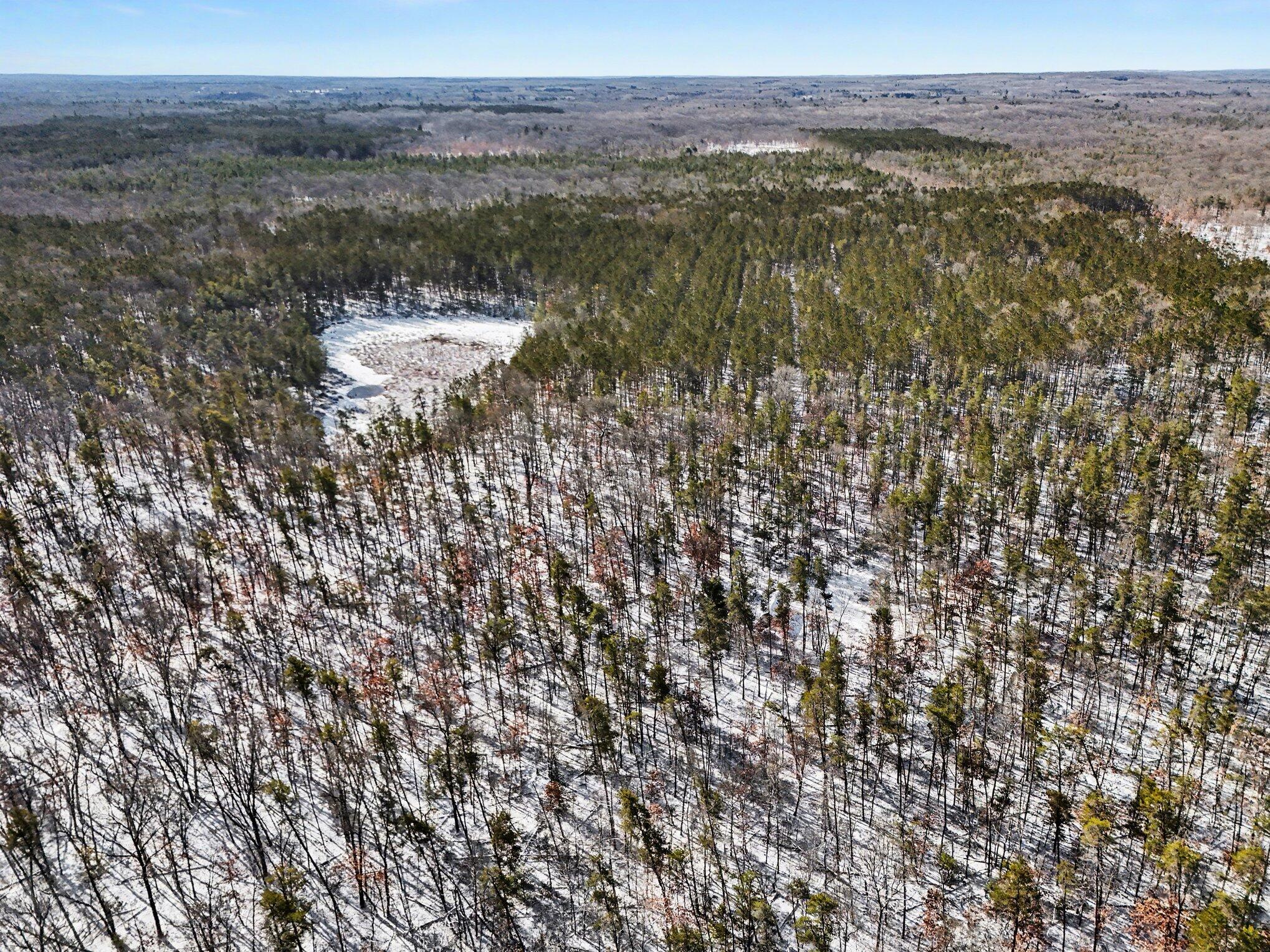 0 East Stark Road Manistee, MI 49660 - Photo 8 of 18 007_06_dji_20260312110622_0727_d_746
