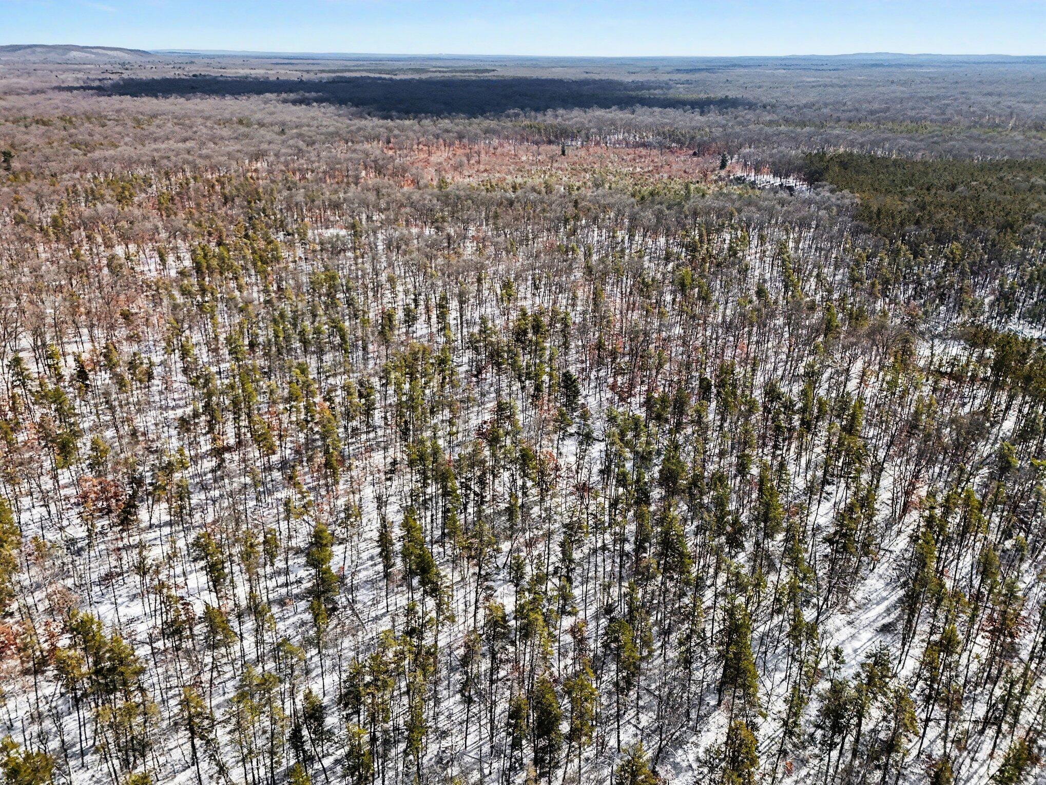 0 East Stark Road Manistee, MI 49660 - Photo 10 of 18 009_08_dji_20260312110707_0729_d_830