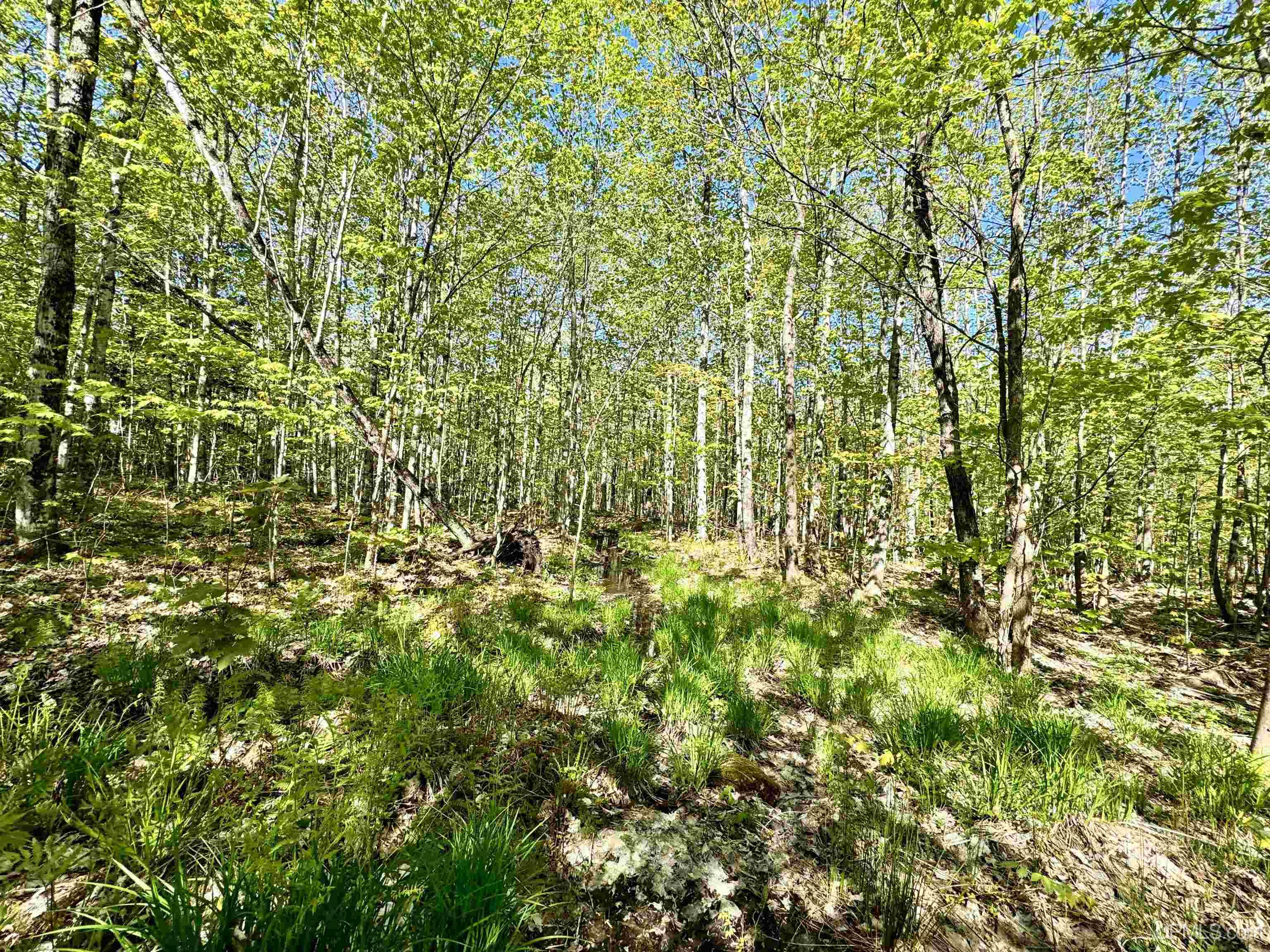 Tbd Tbd Segan Road Marquette, MI 49855 - Photo 9 of 21