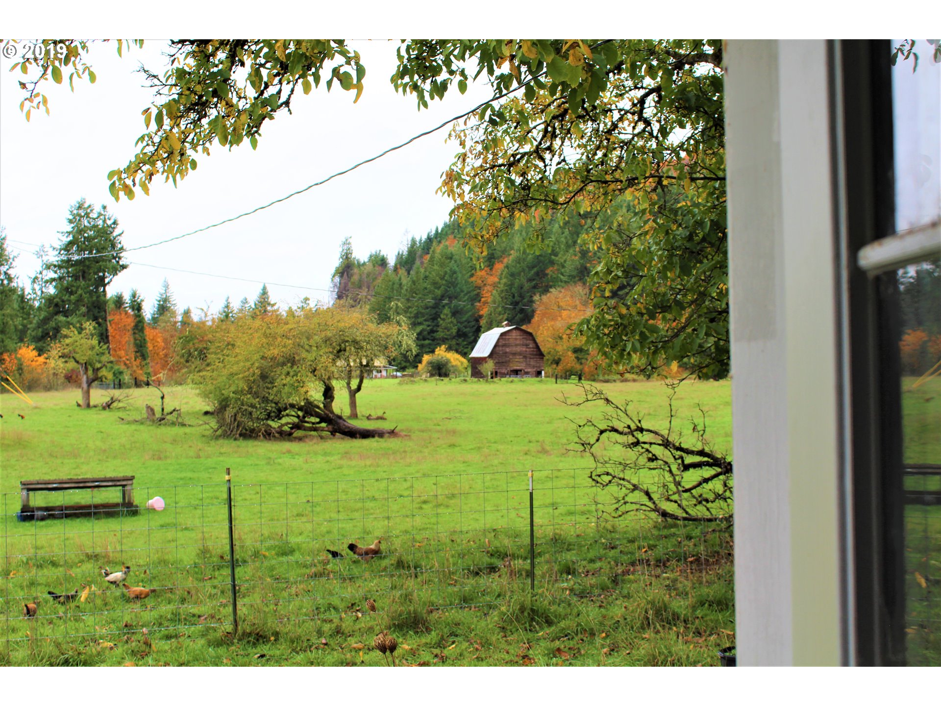 37389 Row River Road Dorena, OR 97434 - Photo 25 of 32 Gallery Image 25