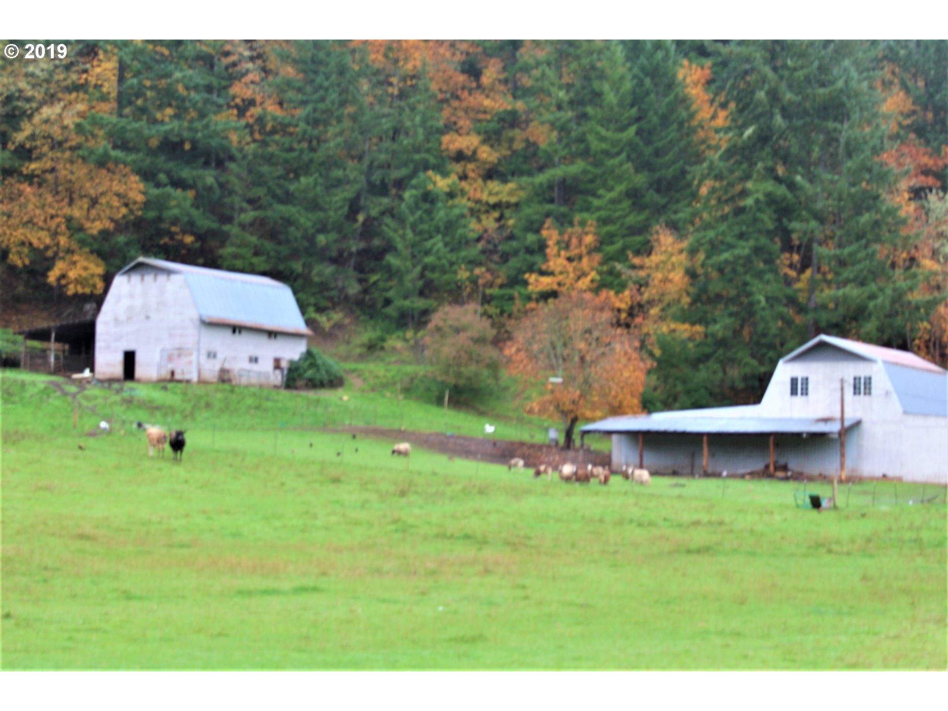 37389 Row River Road Dorena, OR 97434 - Photo 28 of 32 Gallery Image 28
