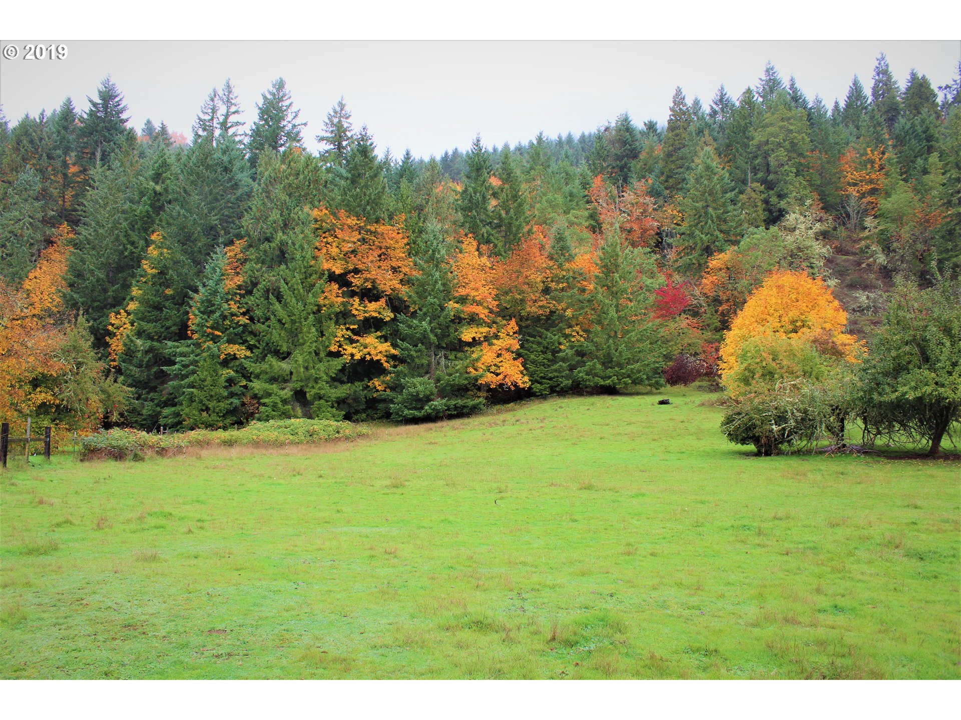 37389 Row River Road Dorena, OR 97434 - Photo 29 of 32 Gallery Image 29