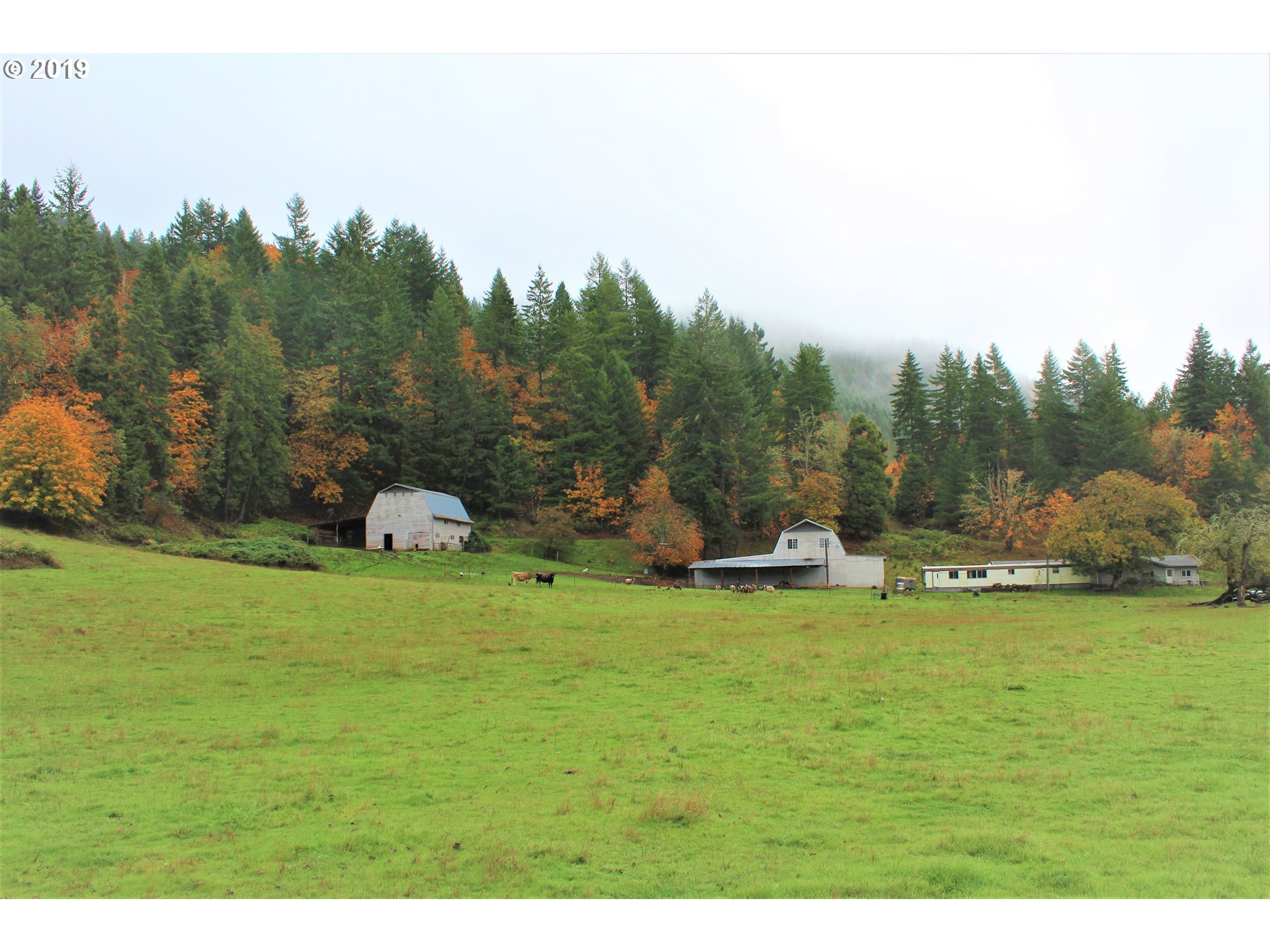 37389 Row River Road Dorena, OR 97434 - Photo 7 of 32 Gallery Image 7