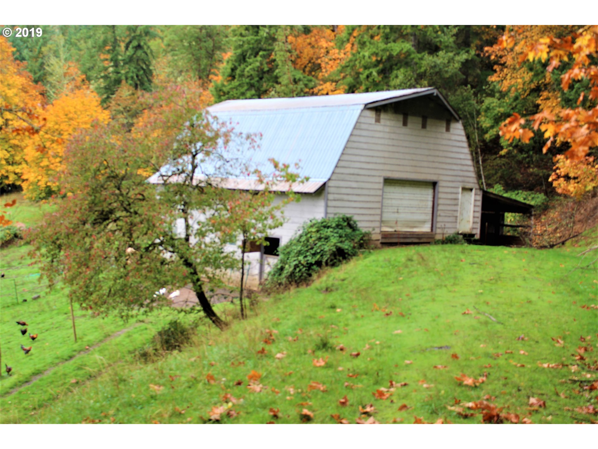 37389 Row River Road Dorena, OR 97434 - Photo 9 of 32 Gallery Image 9