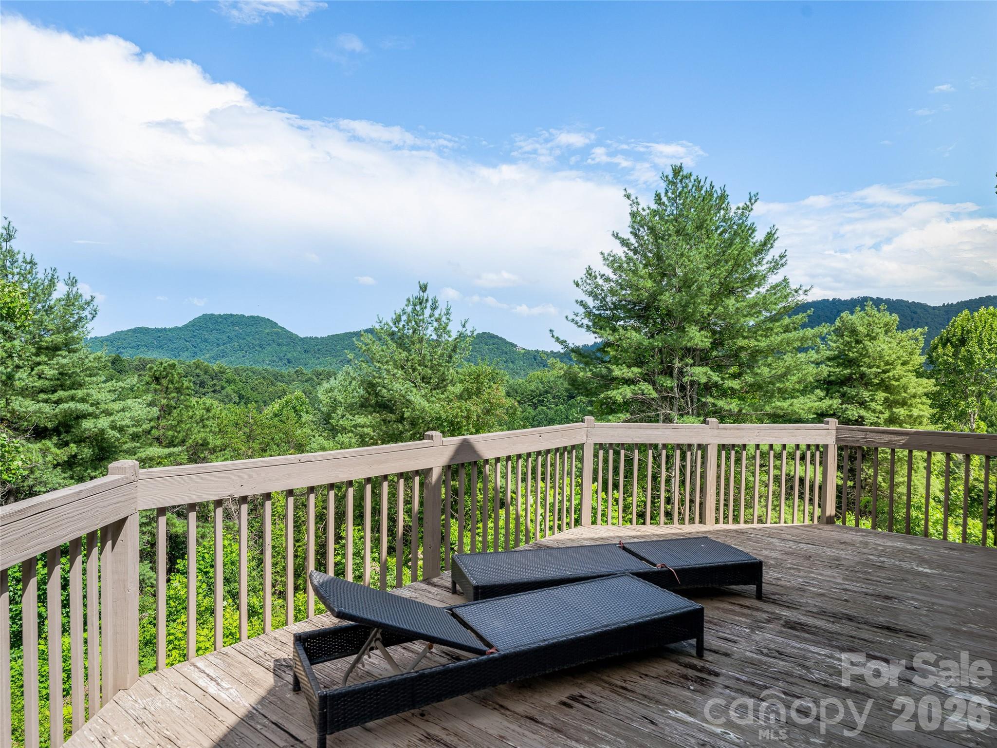 152 Worley Cove Road Leicester, NC 28748 - Photo 4 of 48 Gallery Image 4