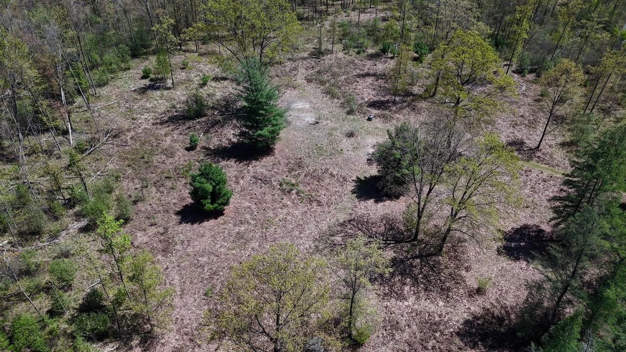 La Grant Road Alger, MI 48610 - Photo 14 of 46 009