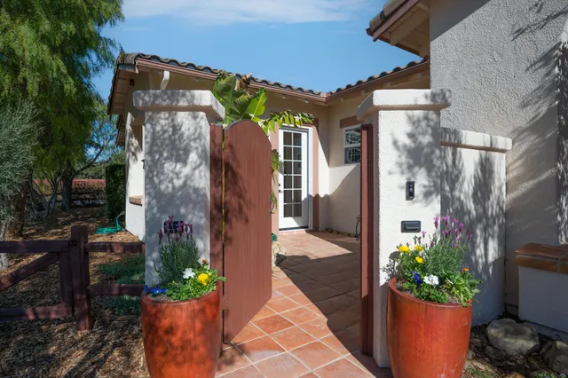 a view of a house with potted plants