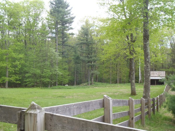 29 Butterhill Road Pelham, MA 01002 - Photo 20 of 22